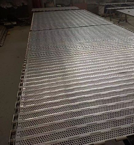 Chain Conveyor Custom